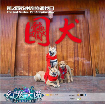 现世寻缘为它发声《幻宠大陆》助力9.9公益领养日_游戏资讯-游民部落(gamecolg.com)