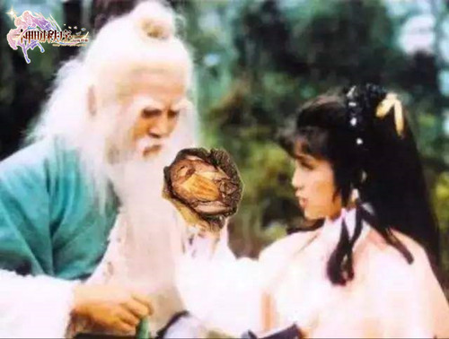 《神明秩序:幻域神姬》港片带来的销魂美食_游戏资讯-游民部落(gamecolg.com)
