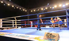 武极天下中泰泰拳冠军联赛圆满结束